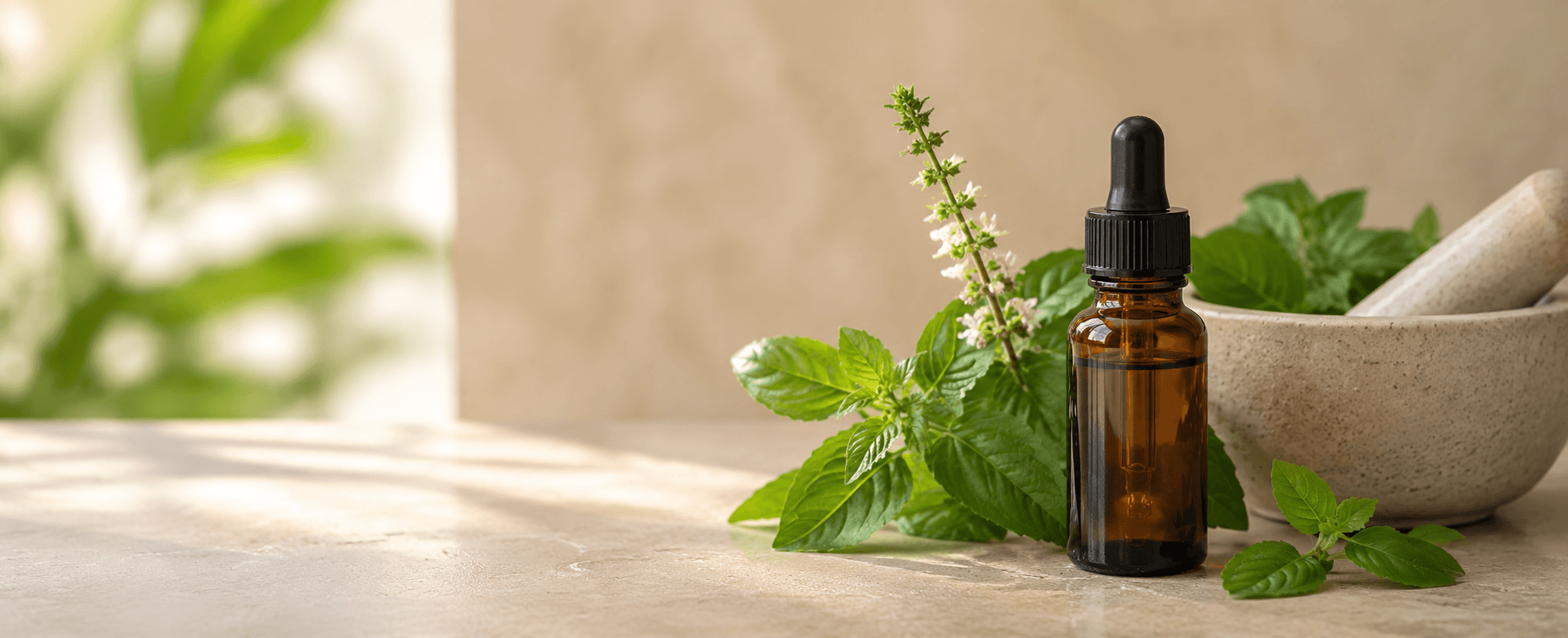 tulsi-essential-oil-the-ancient-secret-taking